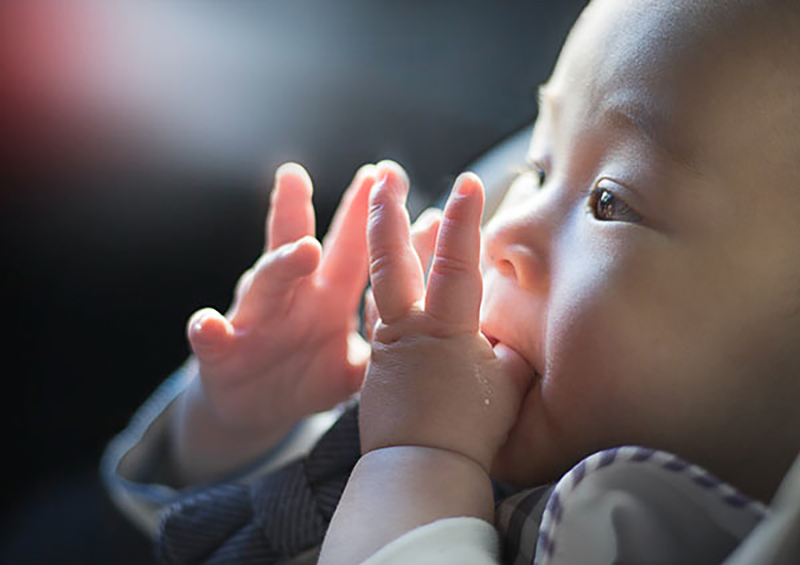 ひだまり　　熊谷　美智子
