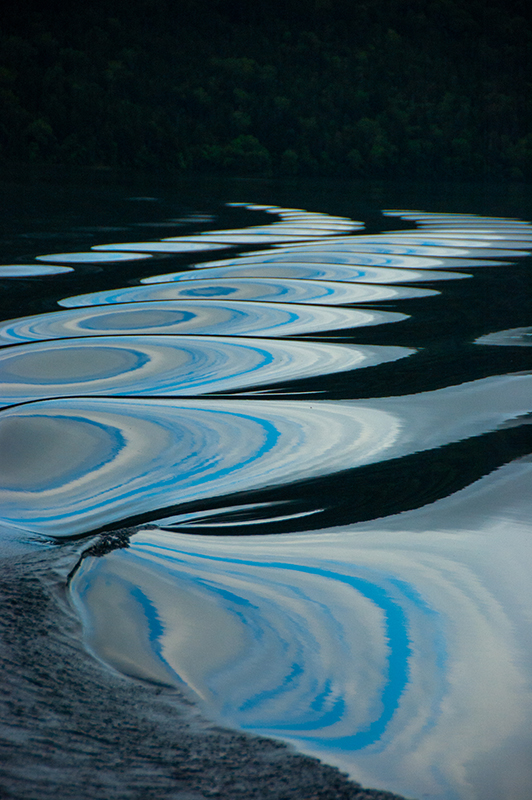 波　　紋　　庄野　里美