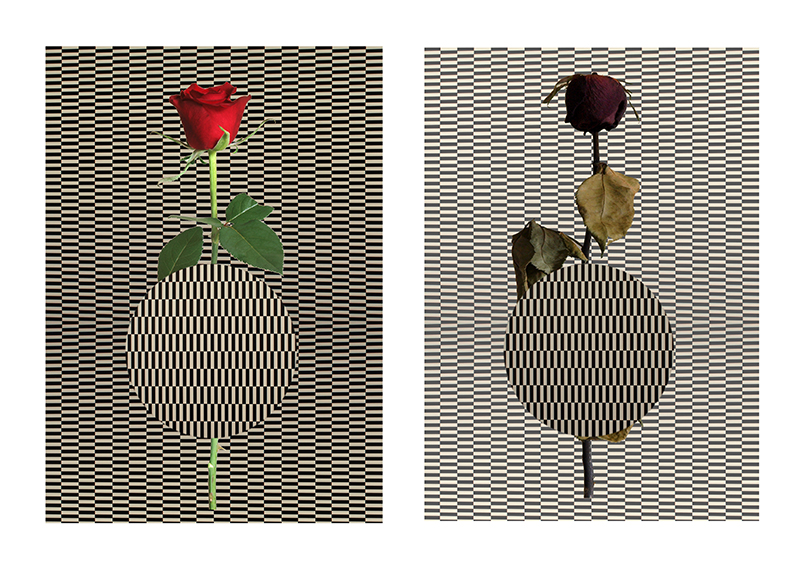 揺 ら ぎ　　田中　伸廣