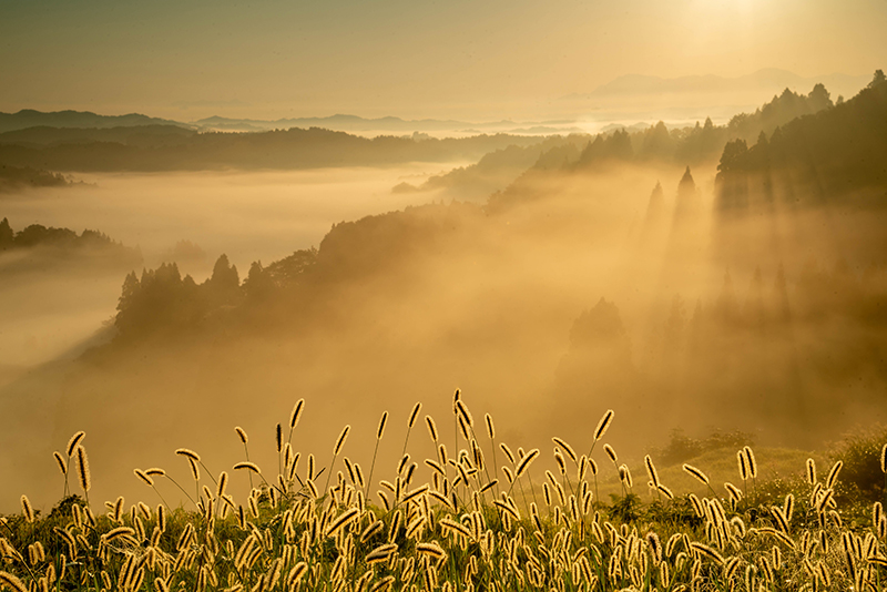 歓喜の朝　　団　芳男