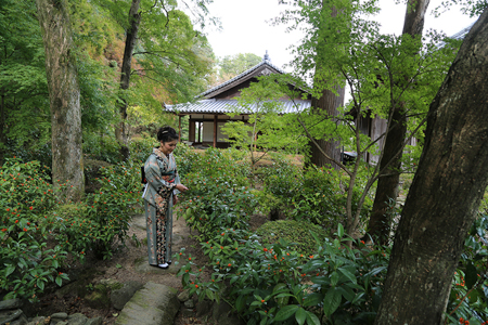 丈六寺の日本庭園　　林　宏二郎