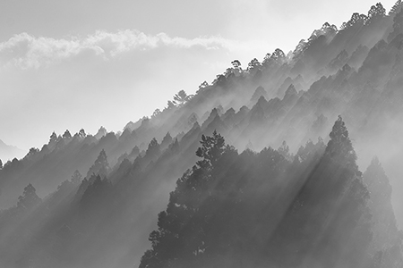 グラデーション<br>川野　阿佐