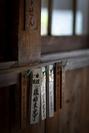 Remains➖名残りー（７枚組）<br>4/7　　高橋　一恵